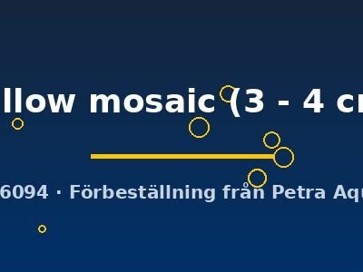 yellow mosaic (3 - 4 cm)