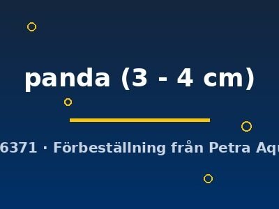 panda (3 - 4 cm)