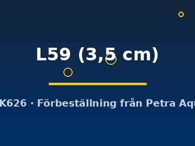Ancistrus L59 3,5 cm