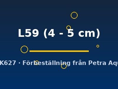 Ancistrus L59 4–5 cm