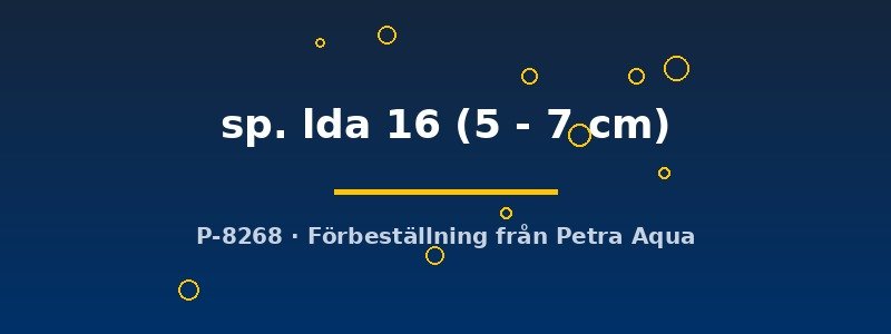 petra-ph-179803 petra-ph-179803