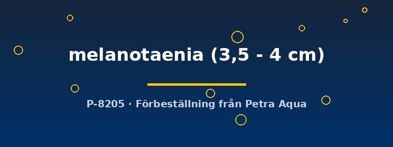 petra-ph-179923 petra-ph-179923