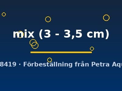 Corydoras mix 3–3,5 cm