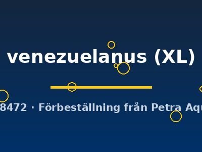 venezuelanus (XL)