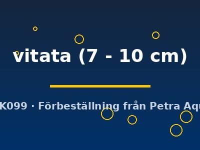 vitata (7 - 10 cm)