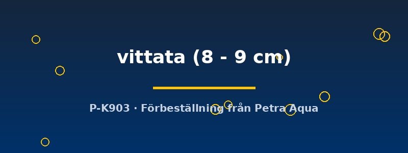 petra-ph-180159 petra-ph-180159