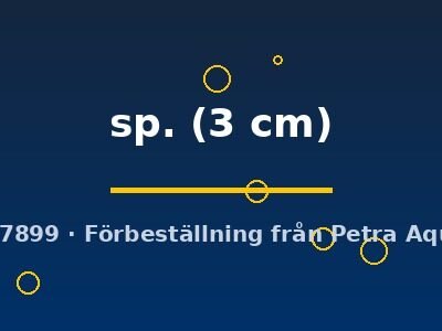 sp. (3 cm)
