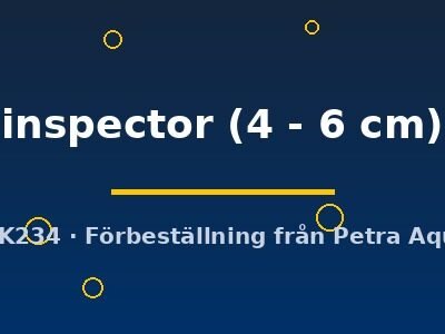 inspector (4 - 6 cm)