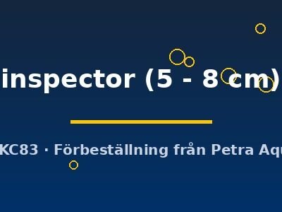 inspector (5 - 8 cm)