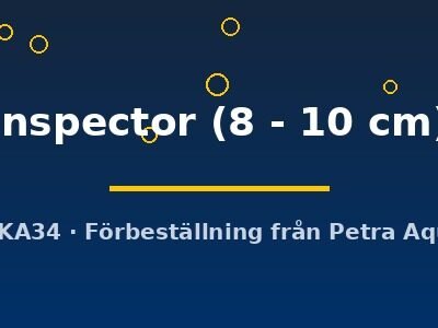 inspector (8 - 10 cm)