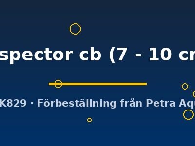 inspector cb (7 - 10 cm)