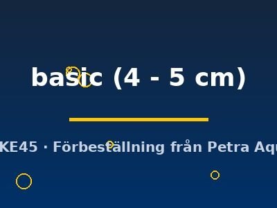 L236 Hypancistrus basic 4–5 cm