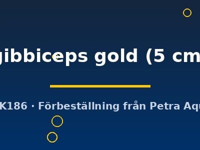 Pterygoplichthys gibbiceps gold 5 cm