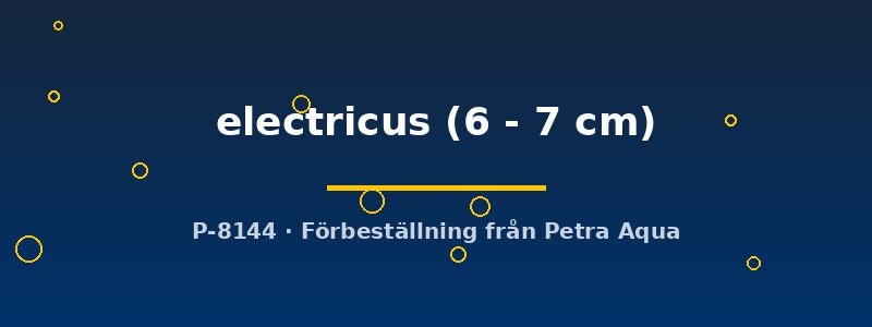 petra-ph-180502 petra-ph-180502