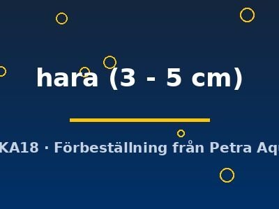 hara (3 - 5 cm)