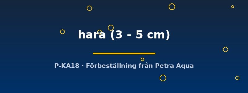 petra-ph-180580 petra-ph-180580