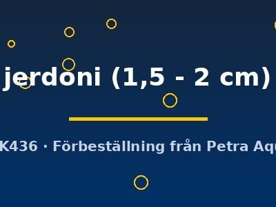 jerdoni (1,5 - 2 cm)