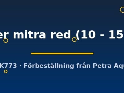 super mitra red (10 - 15 cm)