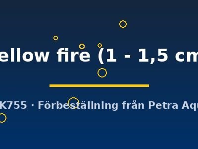 yellow fire (1 - 1,5 cm)