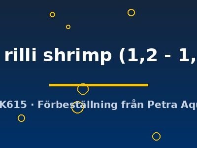 Neocaridinia heteropoda black rilli shrimp 1,2–1,5 cm