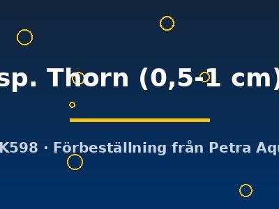 Clithon sp. Thorn 0,5–1 cm