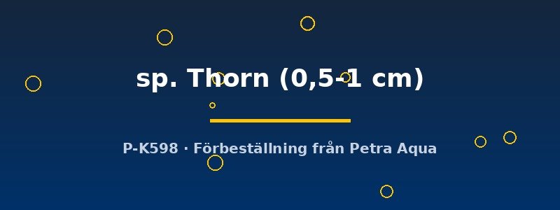 petra-ph-180919 Clithon sp. Thorn 0,5–1 cm