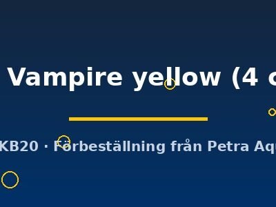 sp. Vampire yellow (4 cm)