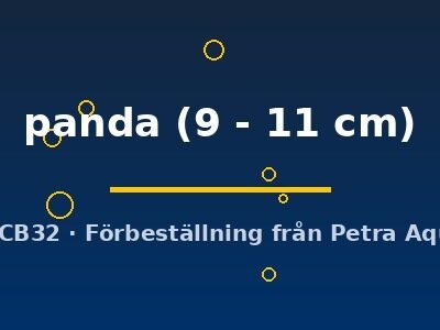 panda (9 - 11 cm)