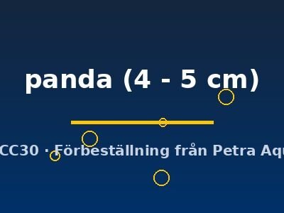 panda (4 - 5 cm)