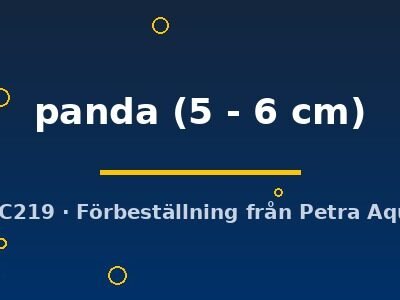 panda (5 - 6 cm)