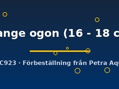orange ogon (16 - 18 cm)