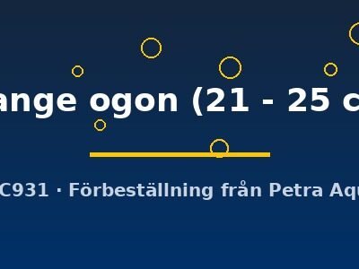 orange ogon (21 - 25 cm)