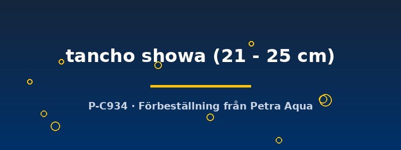 petra-ph-182294 petra-ph-182294