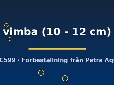 vimba (10 - 12 cm)