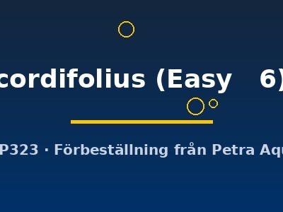 Echinodorus cordifolius Easy6