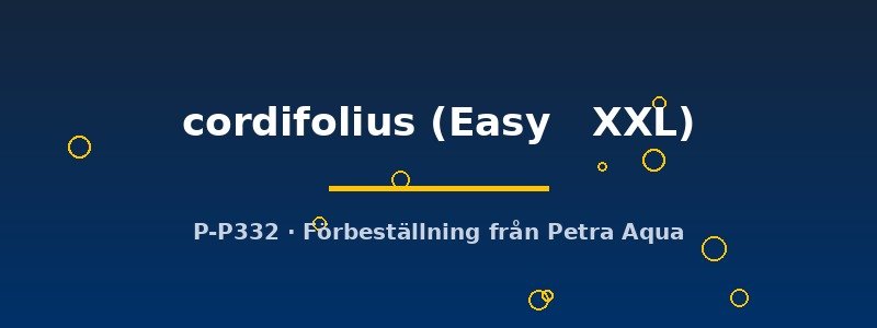 petra-ph-182572 Echinodorus cordifolius Easy XXL