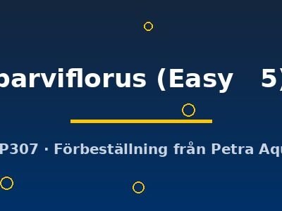 parviflorus (Easy   5)