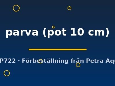 parva (pot 10 cm)