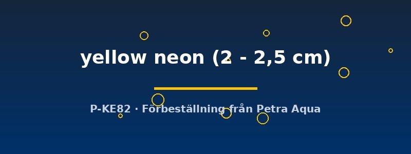 petra-ph2-172953 petra-ph2-172953