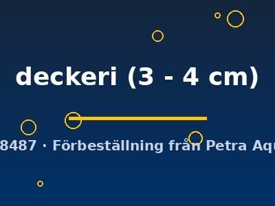 Corydoras deckeri 3–4 cm