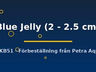 Neocaridina heteropoda Blue Jelly 2–2.5 cm