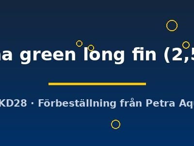 Barbus tetrazona green long fin 2,5–3 cm