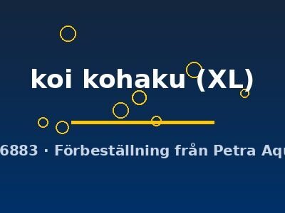 koi kohaku (XL)