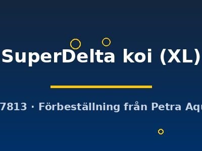 SuperDelta koi (XL)