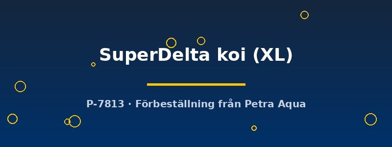 petra-ph2-173108 petra-ph2-173108