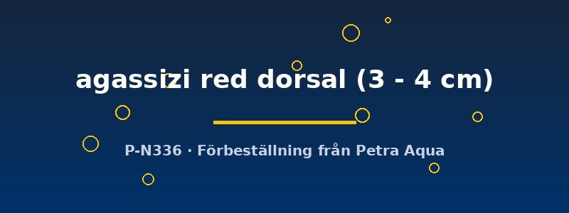 petra-ph2-173131 petra-ph2-173131