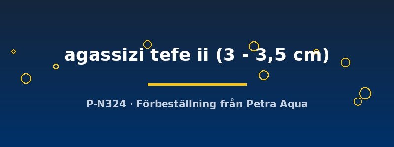 petra-ph2-173136 petra-ph2-173136