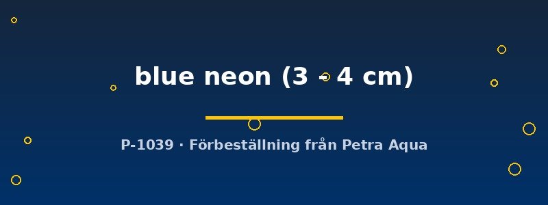 petra-ph2-173178 Copadichromis blue neon 3–4 cm