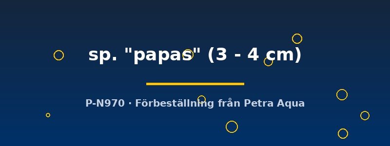 petra-ph2-173266 petra-ph2-173266