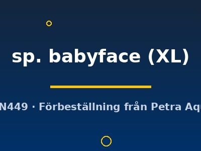 sp. babyface (XL)